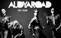 audyaroad pacho brain distillers